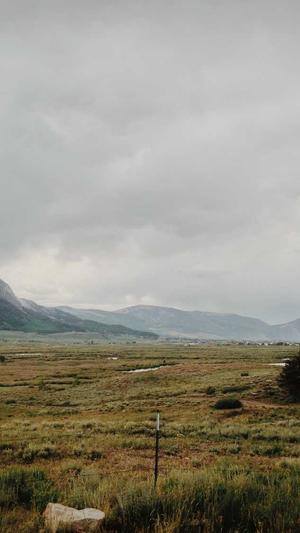 合肥网站建设工作室截图4