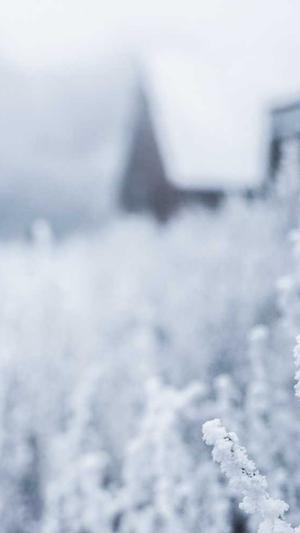 牛牛蜘蛛池截图3