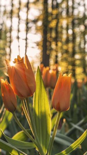 北京住房城乡建设网站官网截图5