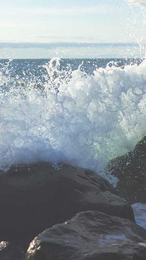 关于seo优化截图4