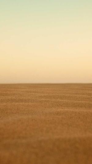 蜘蛛池软件哪个好截图3