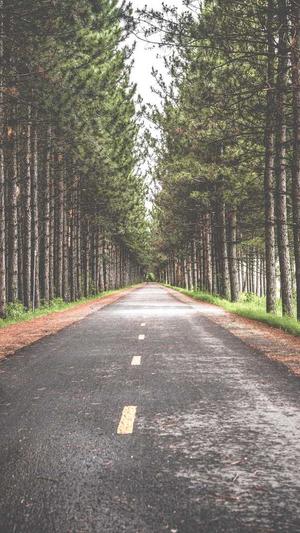 seo站群如何操作蜘蛛池截图1