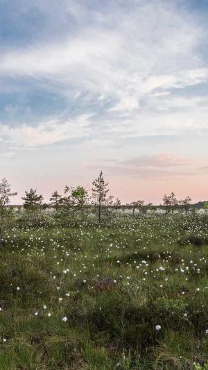 江门网站建设截图5