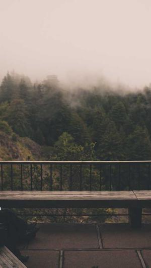 菏泽市网站建设截图1