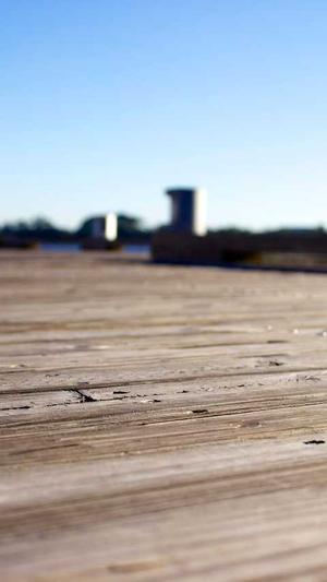 蜘蛛池怎么外推截图1