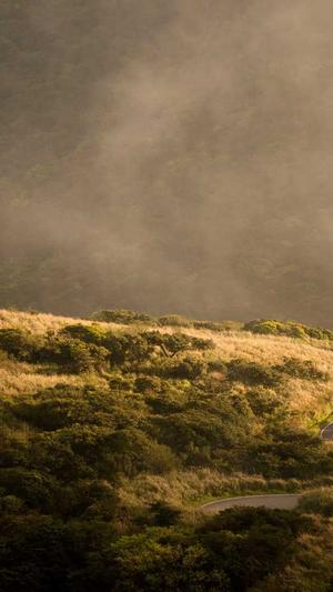 蜘蛛池是站群吗截图2