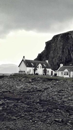 蜘蛛池源码破解版截图2