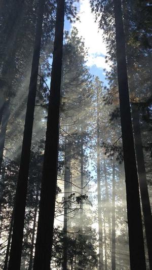 无锡seo优化截图1