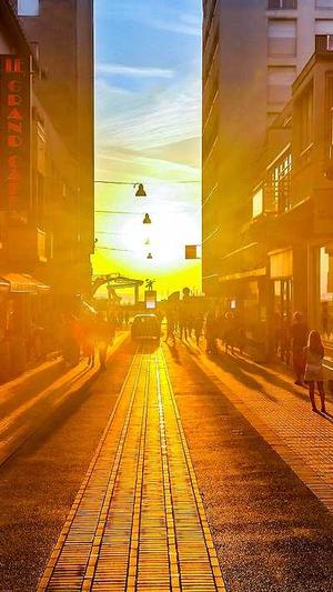 斗牛seo工具截图2