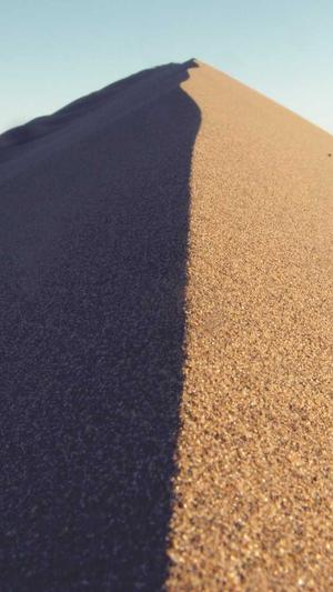 市住房城乡建设委官方网站截图3