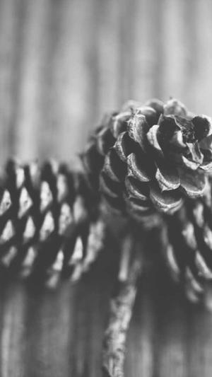 上海营销网站建设截图2