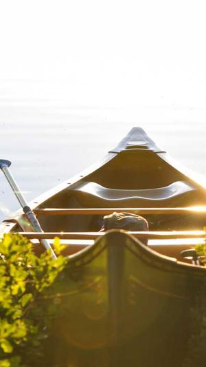 蜘蛛池为什么没有蜘蛛截图3