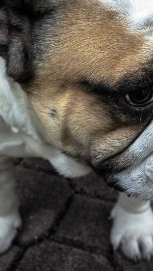 蜘蛛池如何搭建图解法截图4