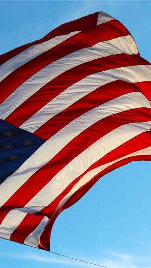 seo优化用什么工具截图3