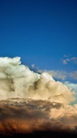 seo搜索引擎优化截图3