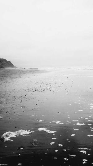 seo数据监控截图4