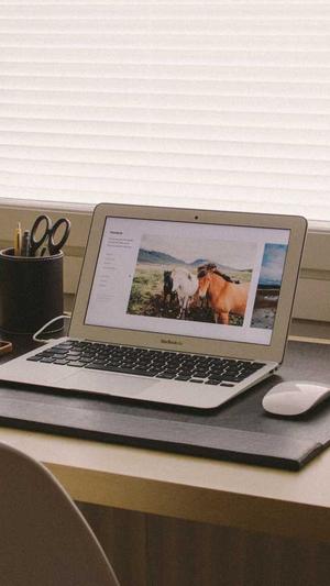 蜘蛛池为什么没有蜘蛛截图1