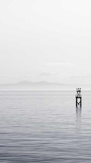 seo站长工具运营截图3