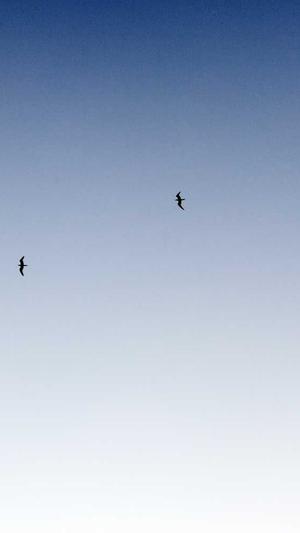 蜘蛛池出租排名截图4