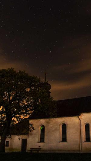 蜘蛛池搭建赚钱截图3