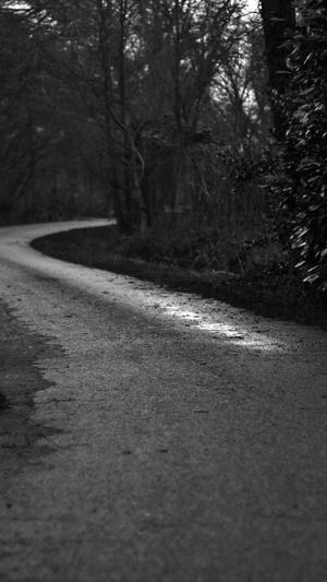 网站如何改蜘蛛池截图2