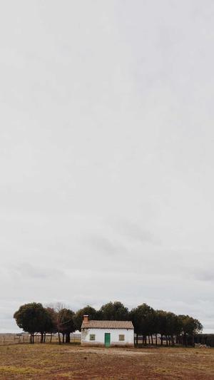 广州seo顾问截图3