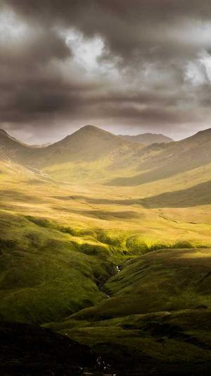 谷歌seo诊断工具截图2