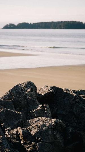 网站建设系统截图1