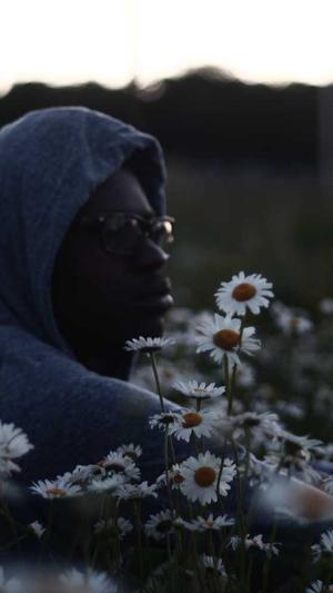 湖南官网seo优化工具截图3