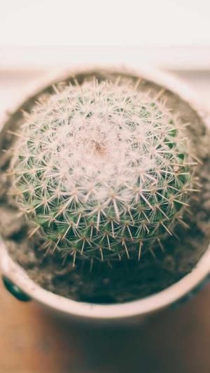 成都企业网站建设截图4