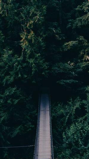 精美网站建设截图1