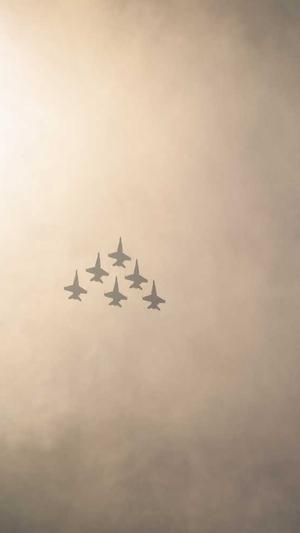 什么蜘蛛池比较好截图2