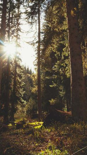 泛目录站群提高客户网站排名截图4