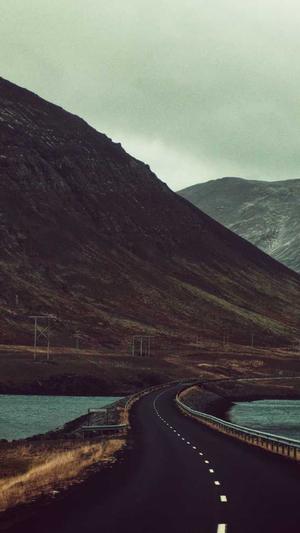 多语言蜘蛛池截图3