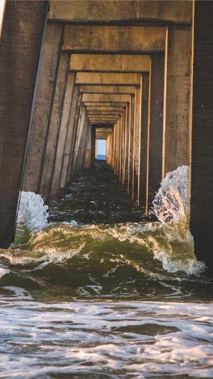 秒收录蜘蛛池截图3