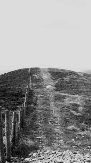 泛目录整站代做截图4