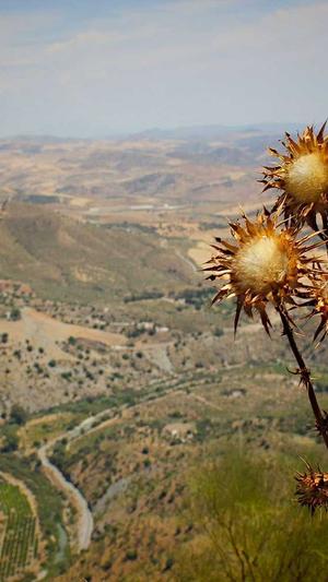 高端网站建设需要的人员配备截图2