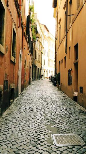 seo点击工具价格截图4