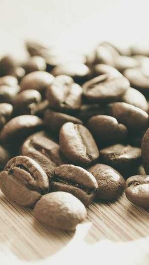 百度蜘蛛池租用多少钱截图4