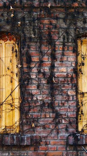 seo泛目录怎么操作外推截图3