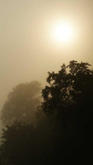 泛目录单页站群截图4