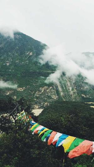 蜘蛛池跟站群的区别截图3