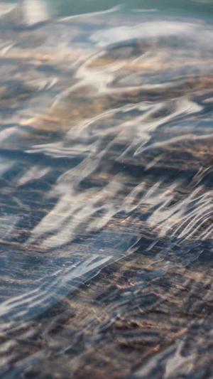 潍坊网站建设seo截图2