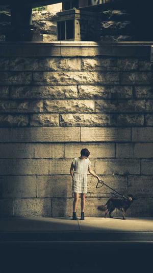 重庆seo网站优化流程截图2