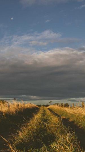 seo网站优化工具截图3