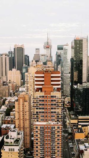 营销网站建设截图1