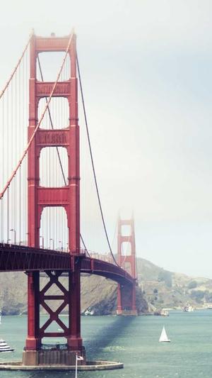 蜘蛛池模板下载安装截图2