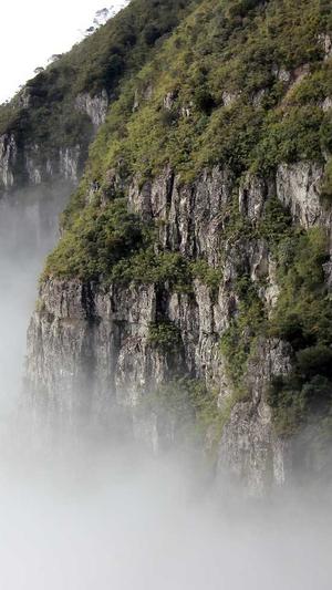 泛目录代做截图4