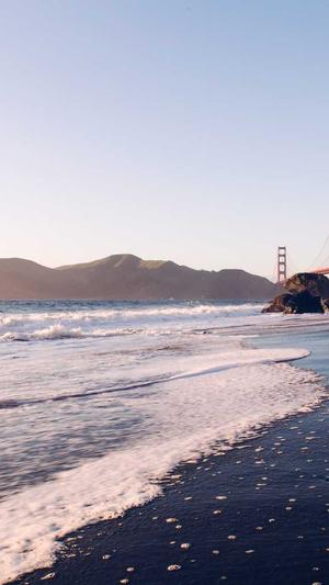 怎么用蜘蛛池赚钱截图4