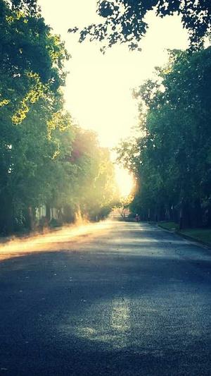 call泛目录程序截图2